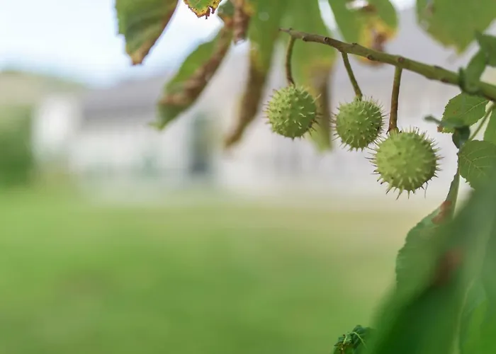 Hotell Tagungshaus Himmelspforten - Self Check-in *